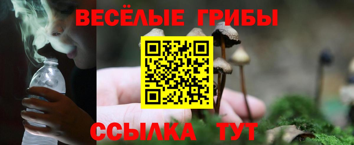 Псилоцибиновые грибы мухоморы  где найти   Вход с VPN  Десногорск  Галлюциногенные грибы мицелий 
